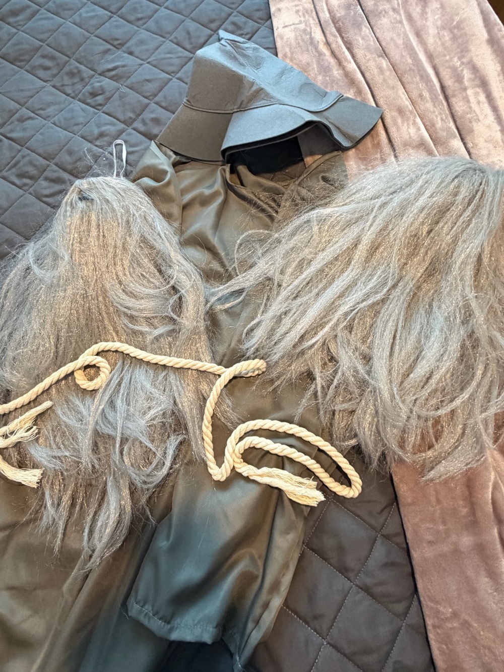 Dumbledore or Wizard Halloween costume
